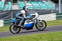 Vintage-motorcycle-club;eventdigitalimages;mallory-park;mallory-park-trackday-photographs;no-limits-trackdays;peter-wileman-photography;trackday-digital-images;trackday-photos;vmcc-festival-1000-bikes-photographs
